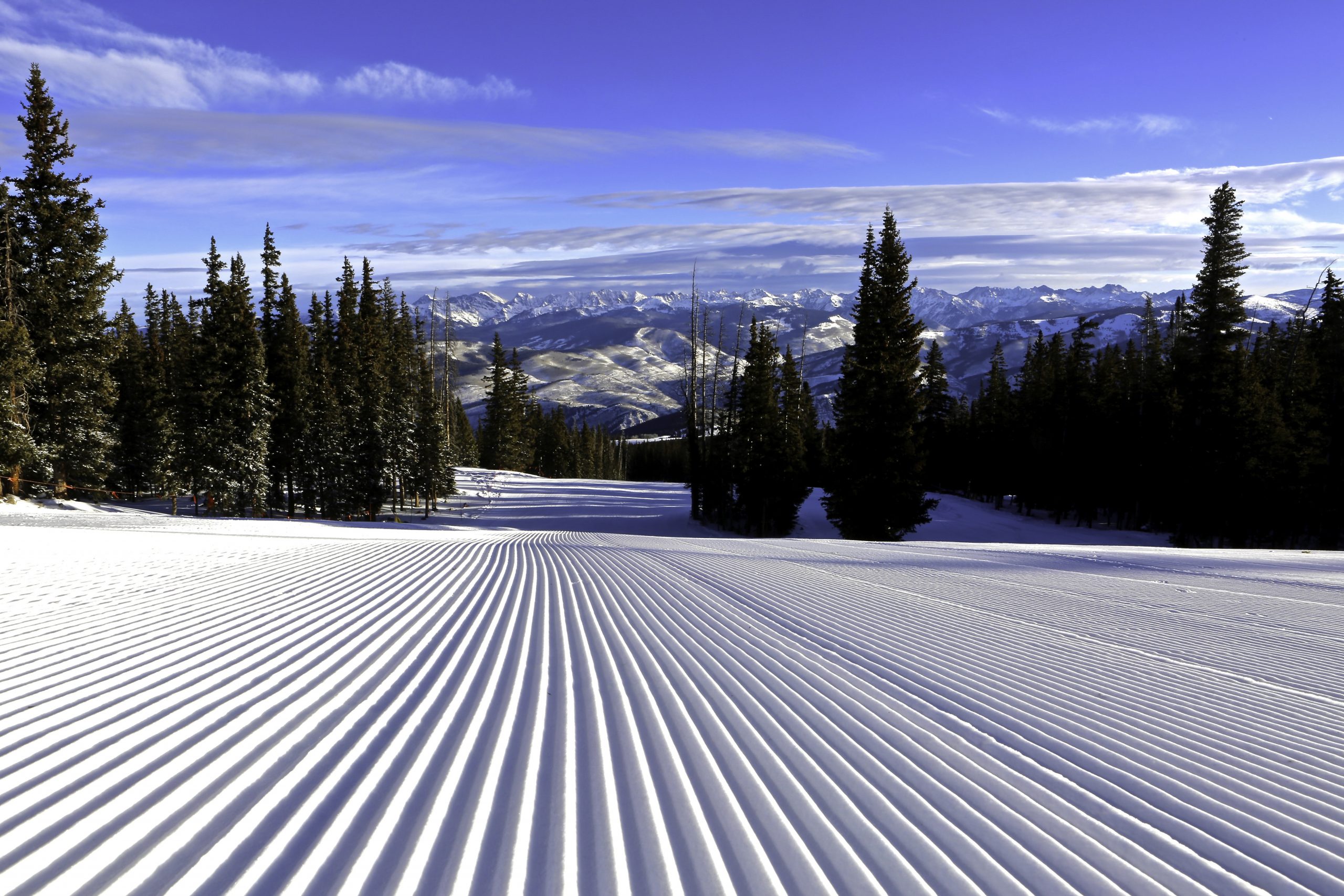 Bachelor Gulch Homeowners Association